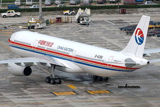 濱州青島機(jī)場(chǎng)至上海與福州空運(yùn)服務(wù)詳解 全國(guó)空運(yùn)貨運(yùn)代理高效解決方案
